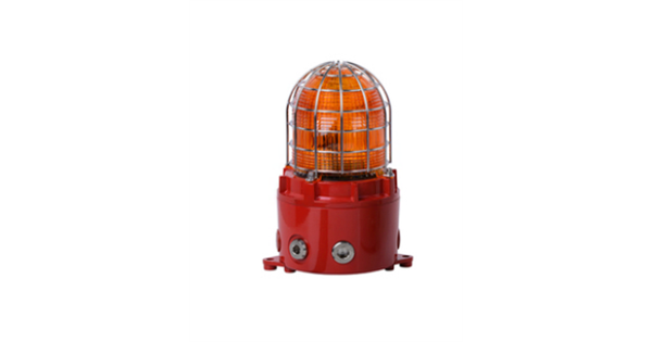 15556
