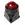 PL11282-1 Point Lighting Corporation   